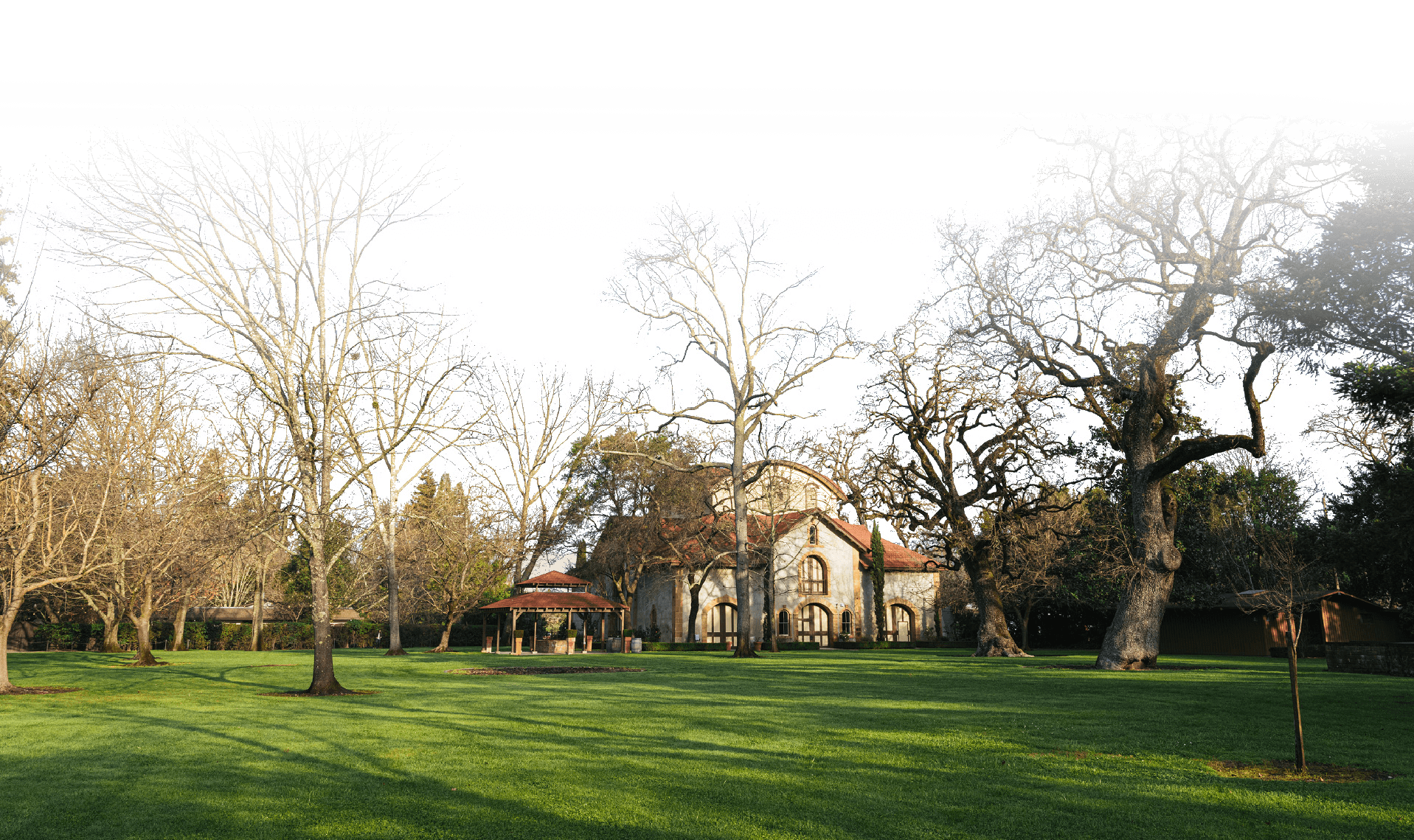 Charles Krug Great Lawn
